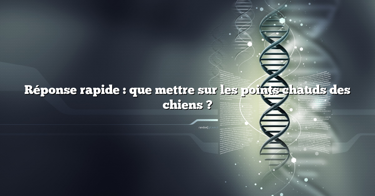 Réponse rapide : que mettre sur les points chauds des chiens ?
